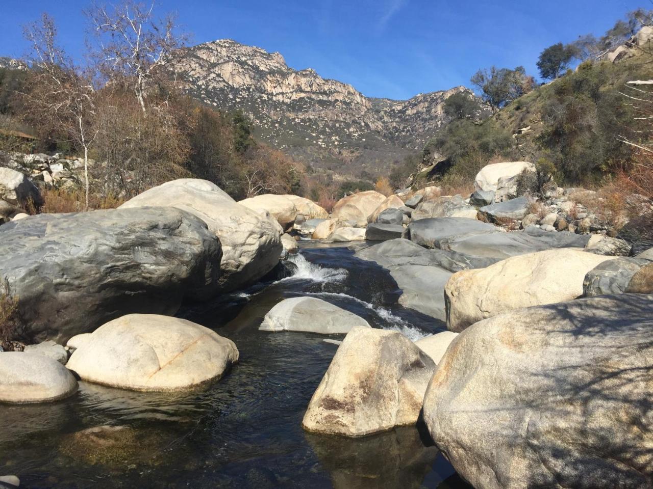 Buckeye Tree Lodge Three Rivers Luaran gambar